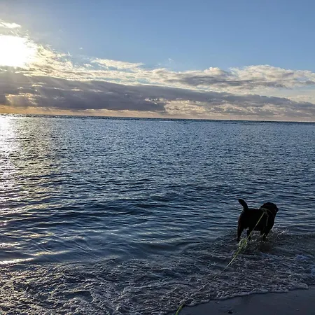 بيت للعطل Luxury Retreat In - By Traum *